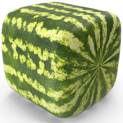 watermelon-square-Xl4xXoD-600.jpg