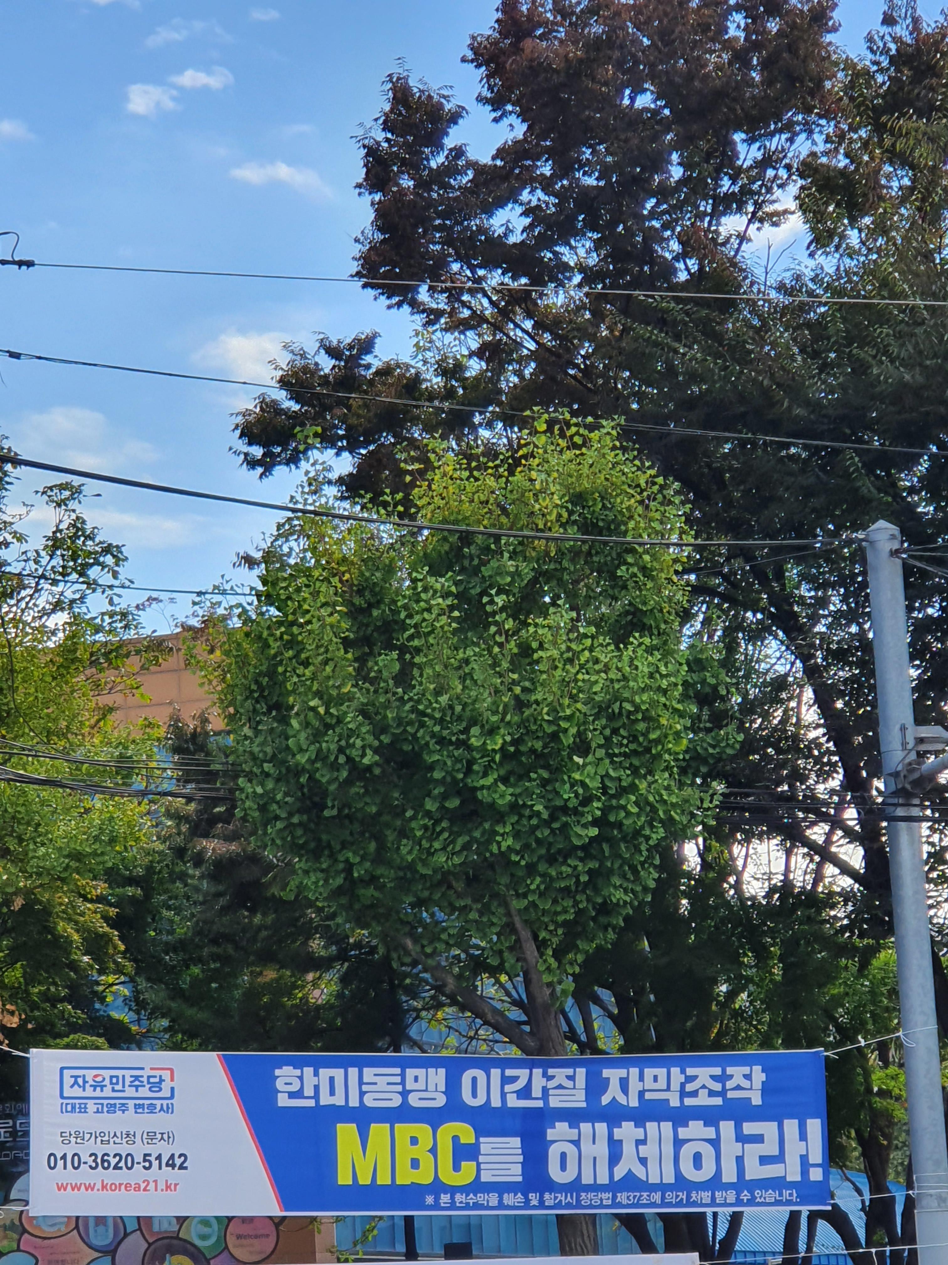 이쉑들 뭐하는거임? - 잇싸