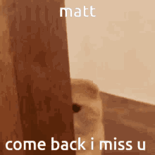 matt-come-back.gif