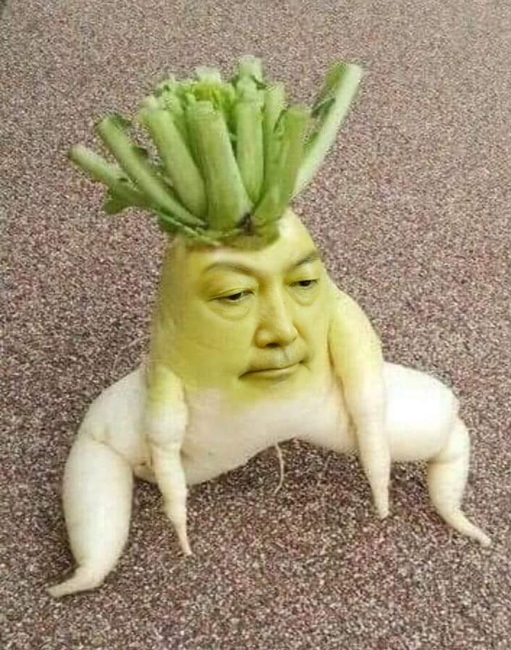 잇싸 - 잠 못들다 본 짤~~~ ㅋㅋㄲㅋ 터졌다