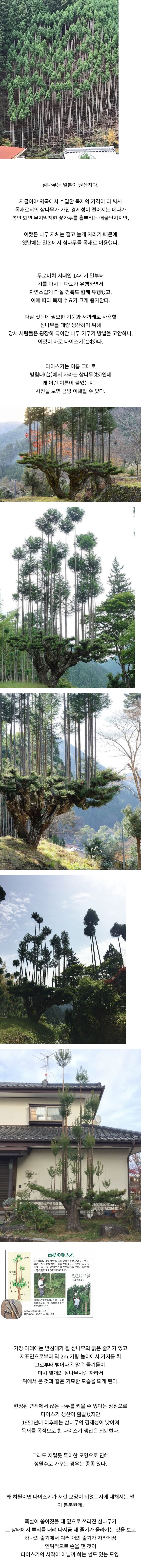 FireShot Capture 1442 - 일본에서 삼나무를 재배하는 특이한 방법 - www.etoland.co.kr.jpg