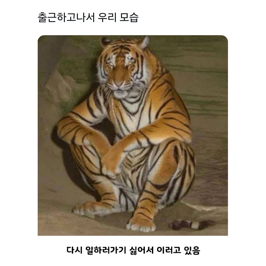 3555374239_9cQGr4vY_fAdZnjWC7Sa2mtUK.jpg