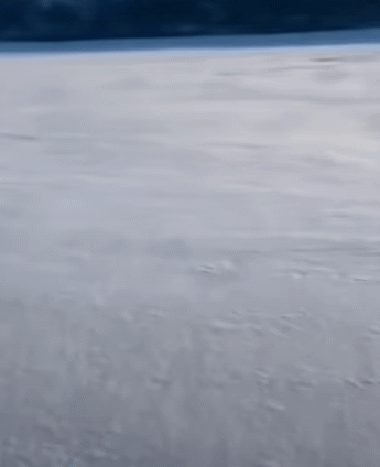 238234752_v7NUkaMP_TKHwyhogOrem6SqE.gif