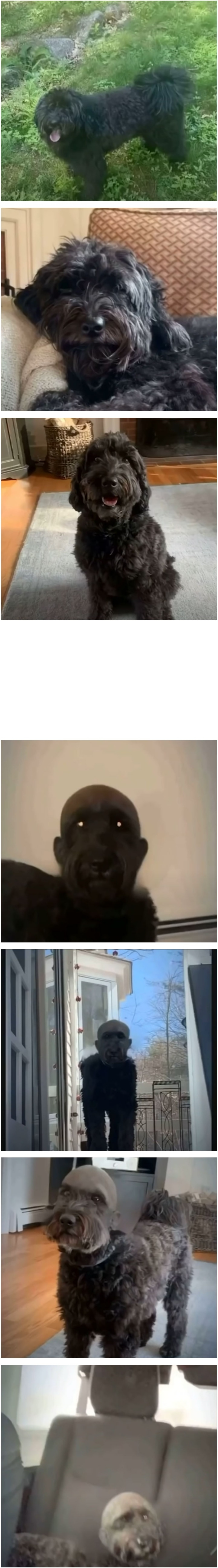 2948988194_qfGInaXV_6s2CRv9UxbimW7A4.jpeg