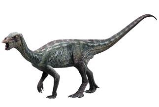 Koreanosaurus.jpg