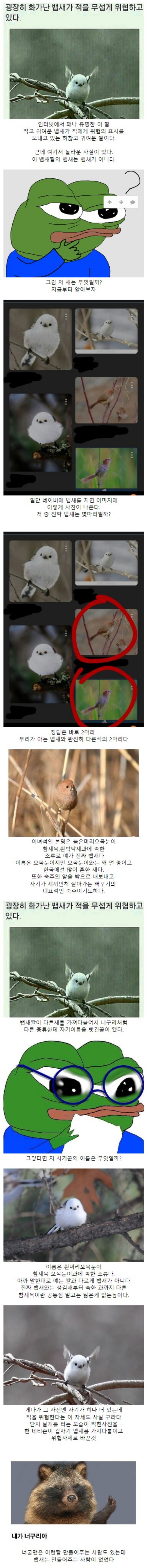 batch_뱁새짤의진실.JPG
