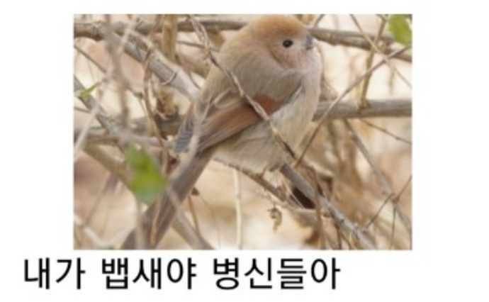 batch_뱁2.JPG