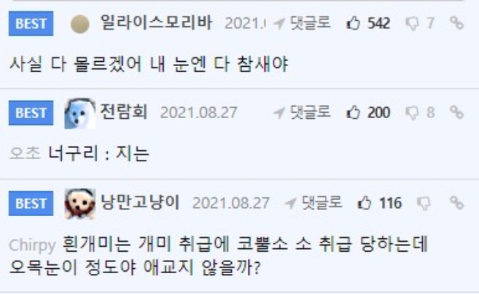 batch_뱁3.JPG