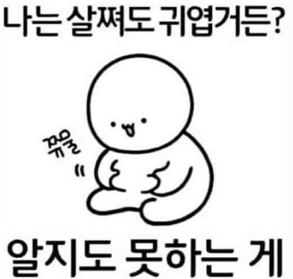 나는살쪄도귀엽거든.png