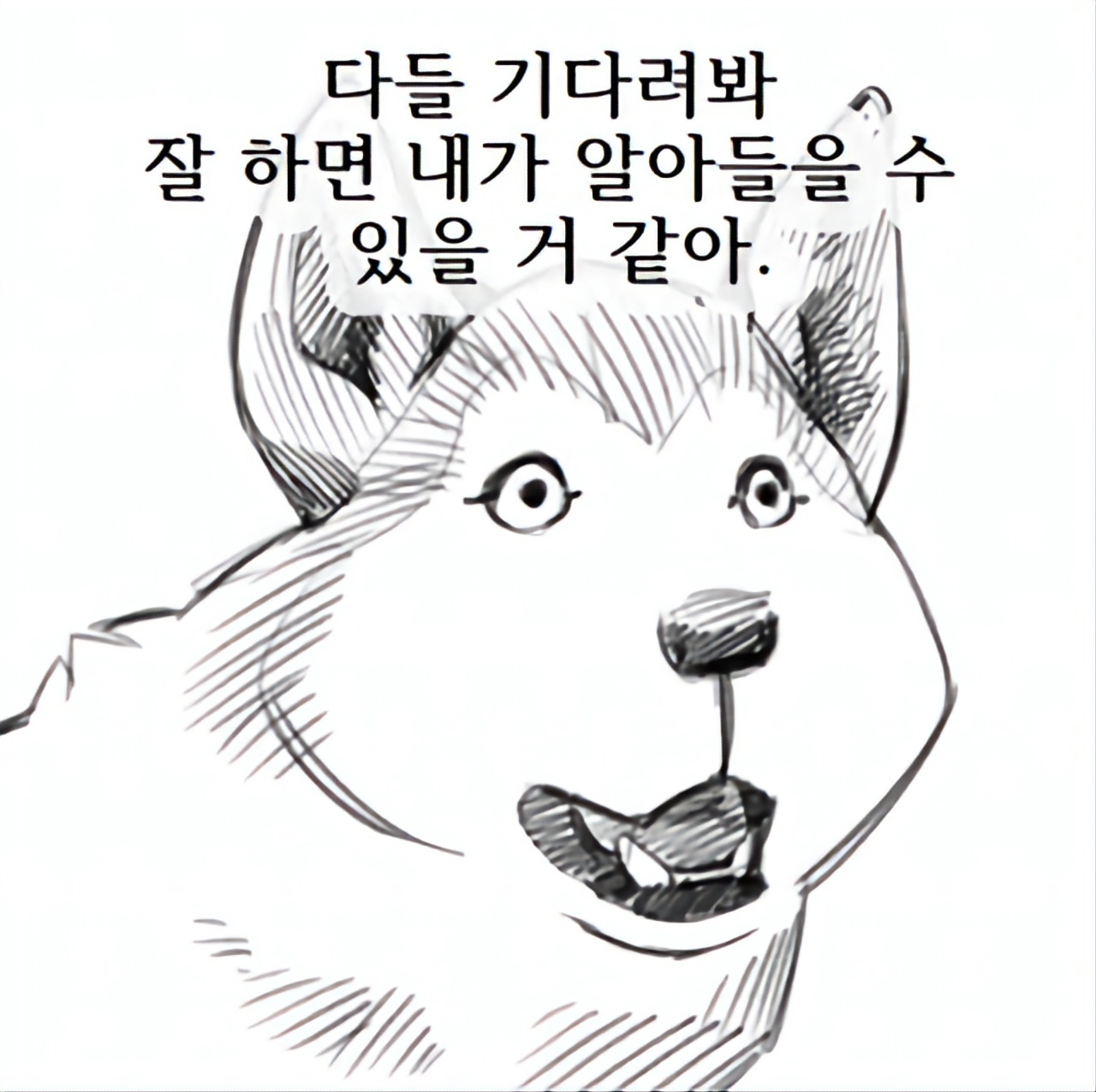 개소리.jpg