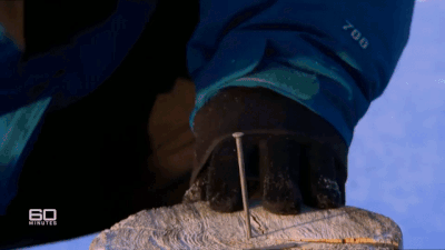DM_20250318140615_011.gif