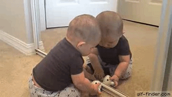 DM_20250318140615_008.gif