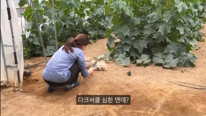 DM_20250318104506_007.webp.jpg