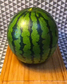 DM_20250318140615_014.gif