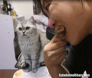DM_20250318140614_001.gif