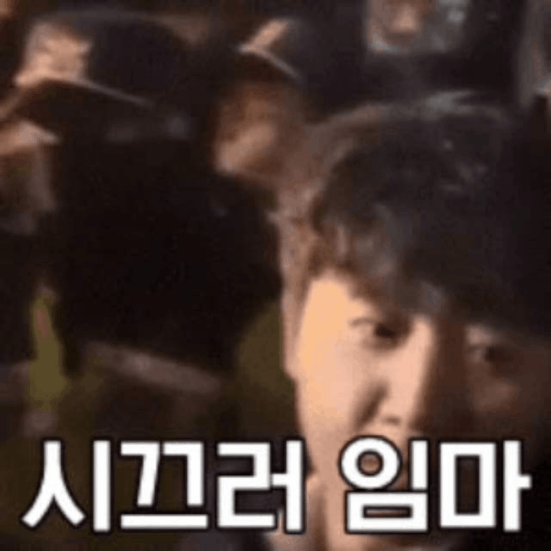 20241229_114634.gif