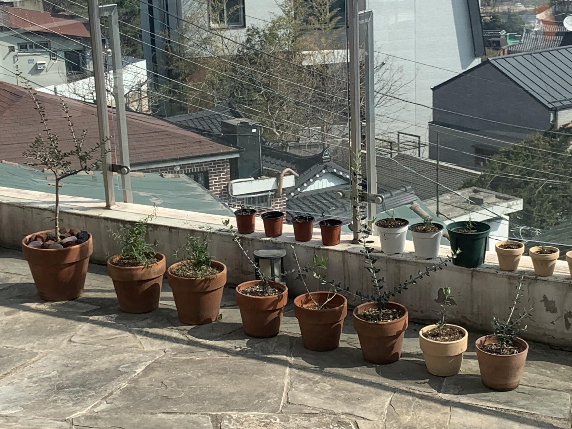 IMG_4038.jpeg.jpg