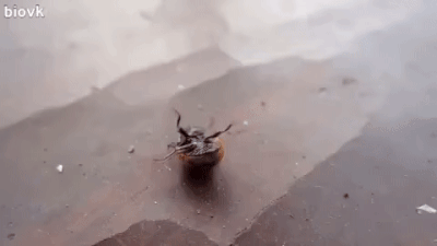 DM_20250515155659_002.gif