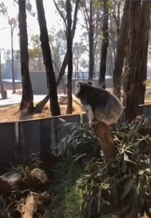 DM_20250515155700_011.gif