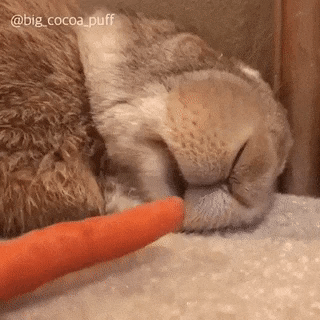 7c75d67890a09c254d697ac6160caeee.gif