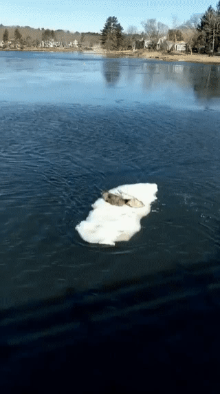 DM_20250515155659_004.gif