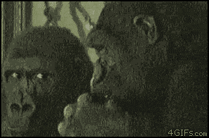 DM_20250515155659_005.gif