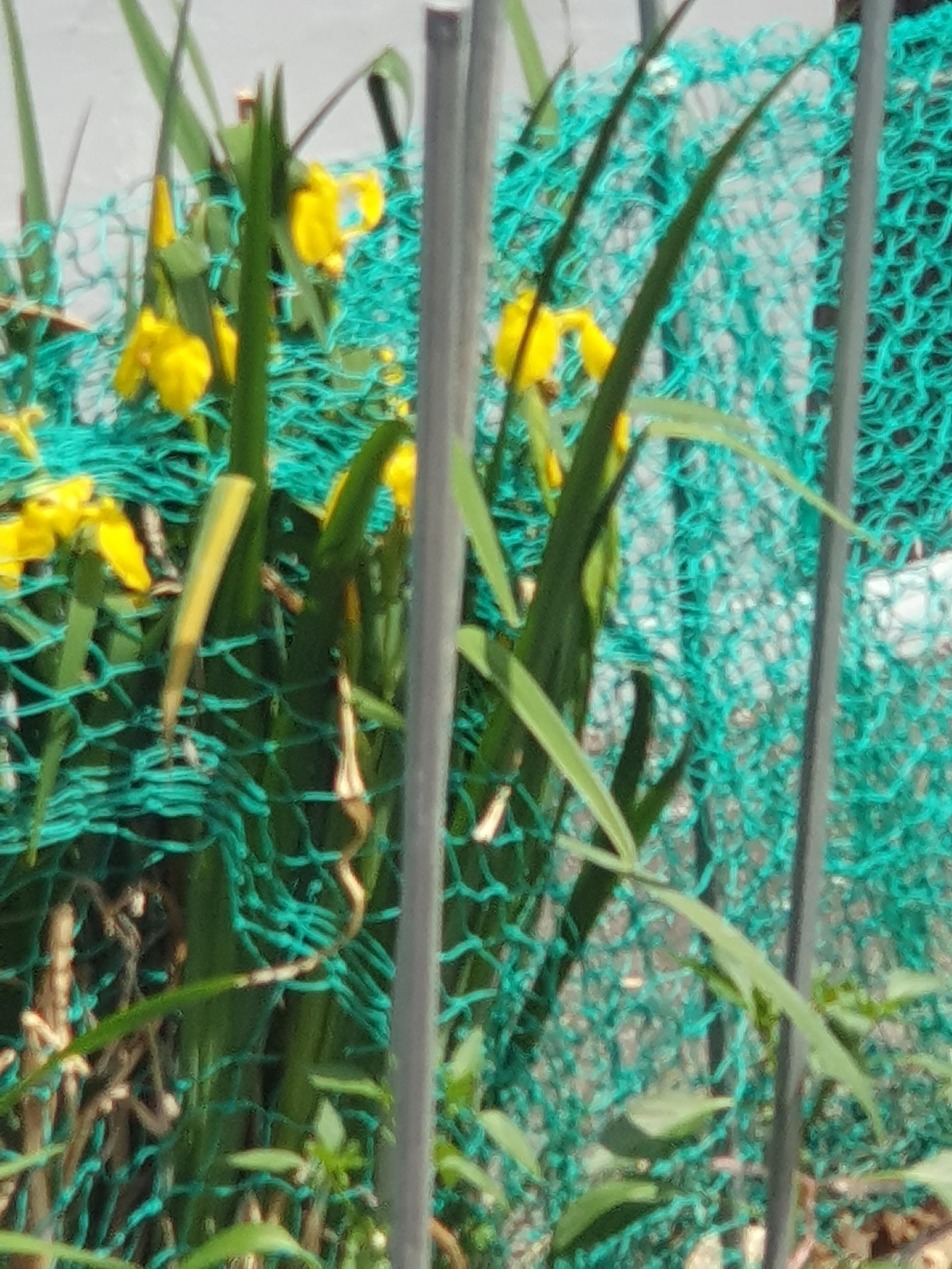 20250517_133030.jpg