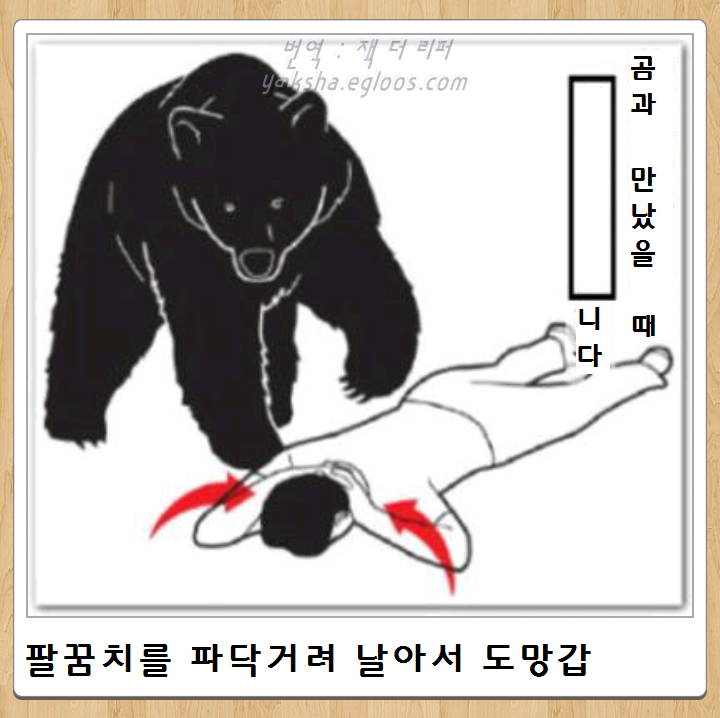 f0075158_55799bfa59f8b.png