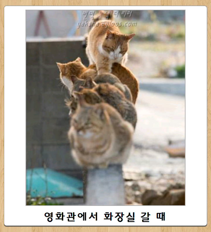 f0075158_55799c183c8fa.png