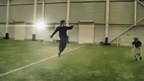 6d6f672f54028c9696006011b30ac8e7.gif