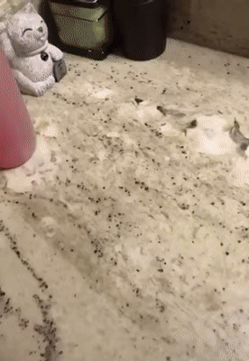 7aa53d9b42f51b6e12d35a939f7372c1.gif