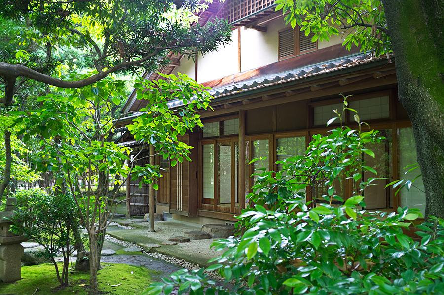 DSCF6492.jpg