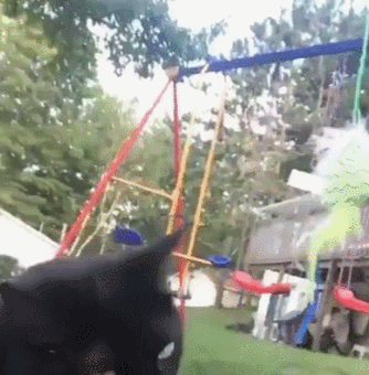 74ff5d62de7980a90db021cb407b78a4.gif