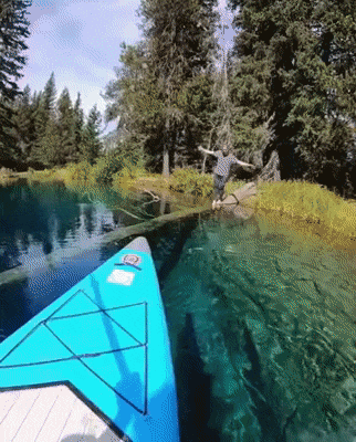 9885d9042e8074eef8cadf85efbf2f19.gif