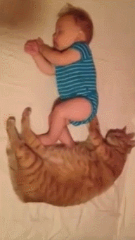 b1dfe0bd36d88ccd7a744223517f7b47.gif