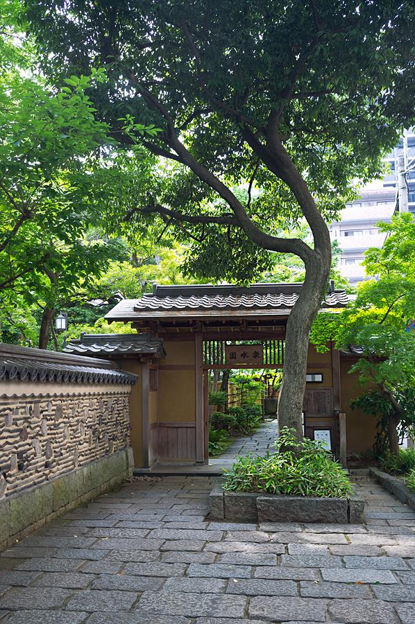 DSCF6480.jpg