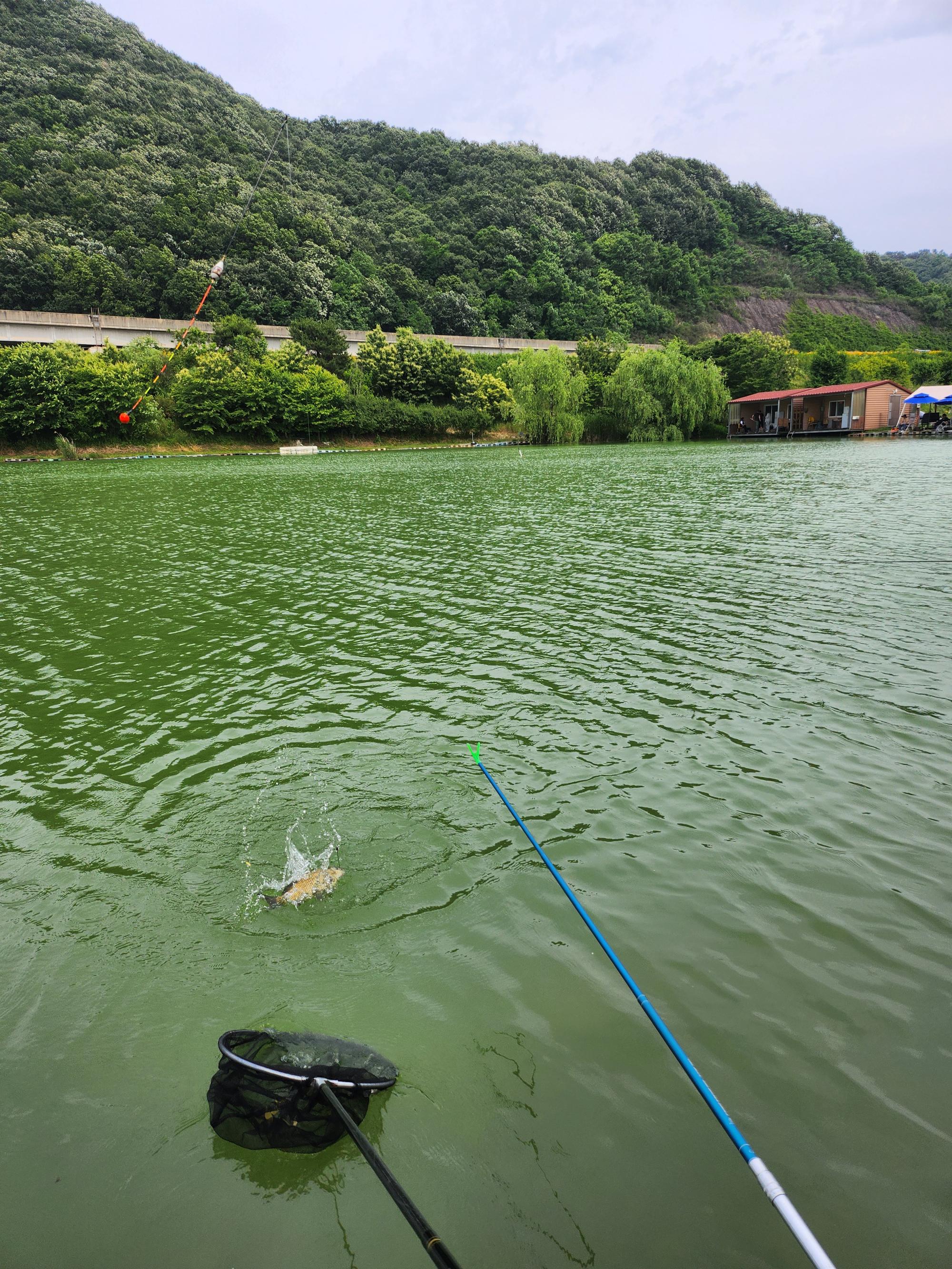 20250606_150744.jpg