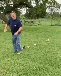c3d349031ea43ef03b7870be0af837a4.gif