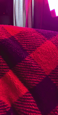 1743533833466176d7f047945ef16e08.gif