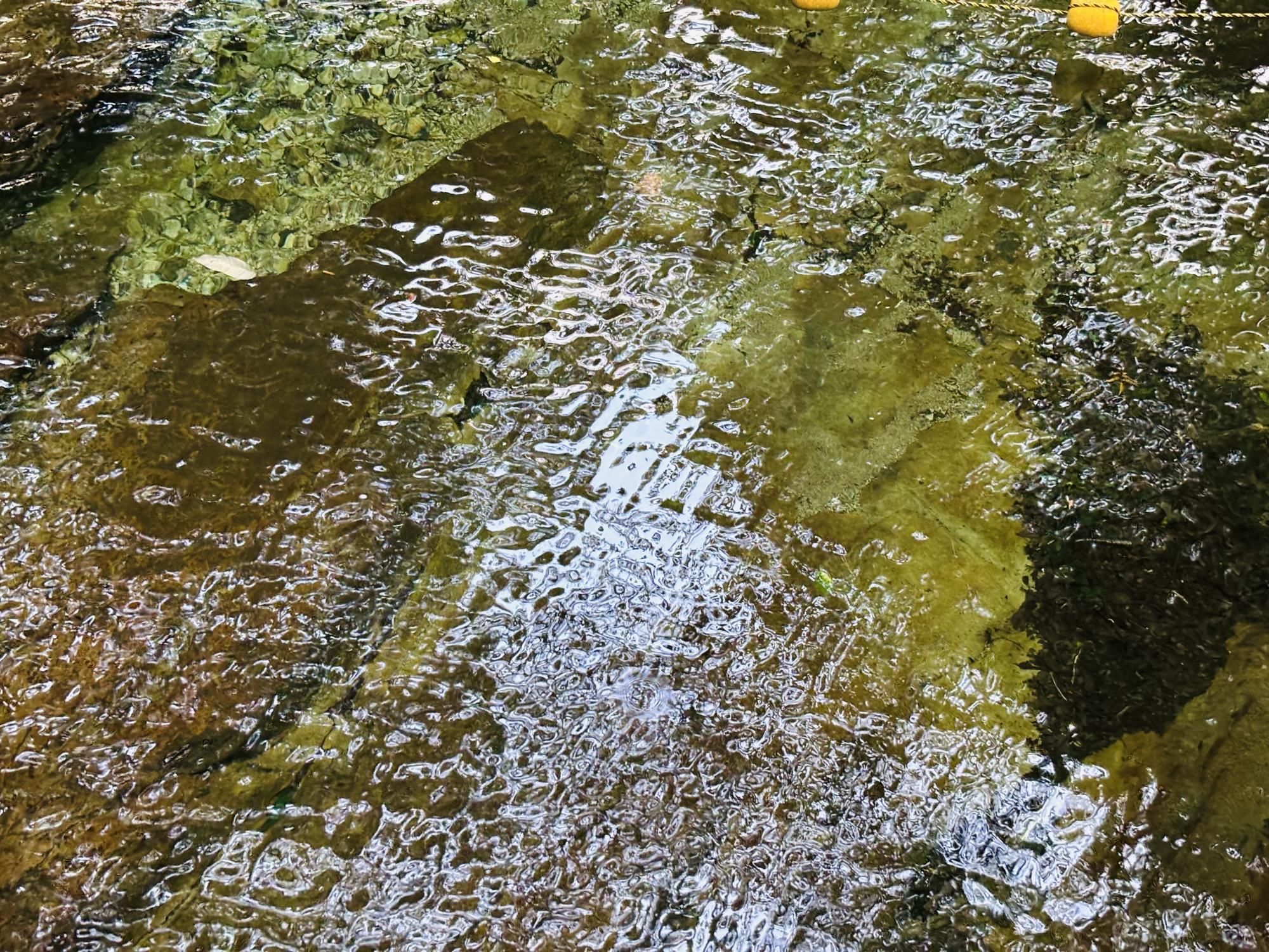 IMG_0857.jpeg.jpg