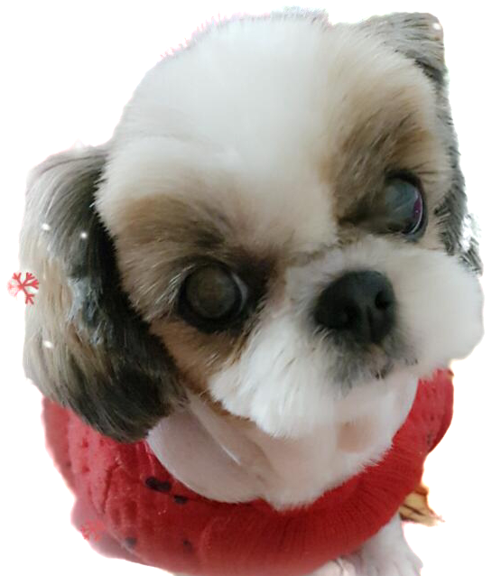 Clipped_image_20250705_232927.png